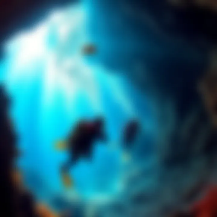 Baka Cave Diving Divers exploring underwater caves with vibrant marine life