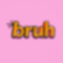 A colorful graphic showing the word 'bruh' in bold letters, emphasizing its cultural significance in modern language