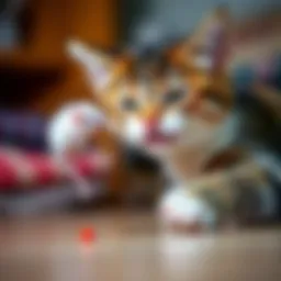 A playful cat batting at a toy mouse, showcasing its hunting instincts.