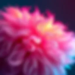 Creative Project Fluffiness A fluffy art piece with soft textures and vibrant colors, showcasing the creative process