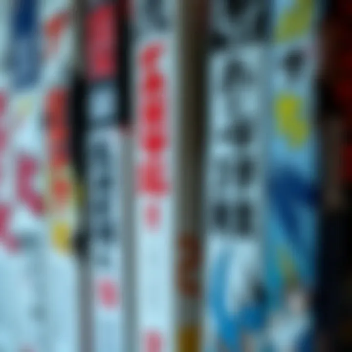 Close-up of FMA manga spines showing unique designs and hidden easter eggs that enhance the story connection.