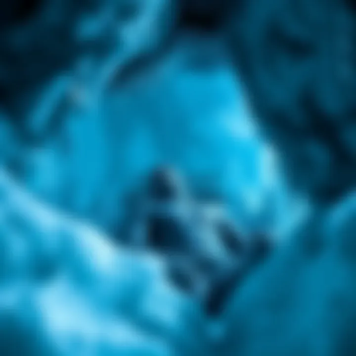 A level 5 prisoner encased in ice, surrounded by a stark environment that hints at extreme conditions.