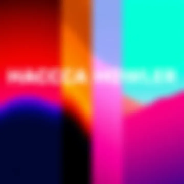 Four unique color palettes for the Hacca Howler displayed side by side, showcasing different shades and styles.