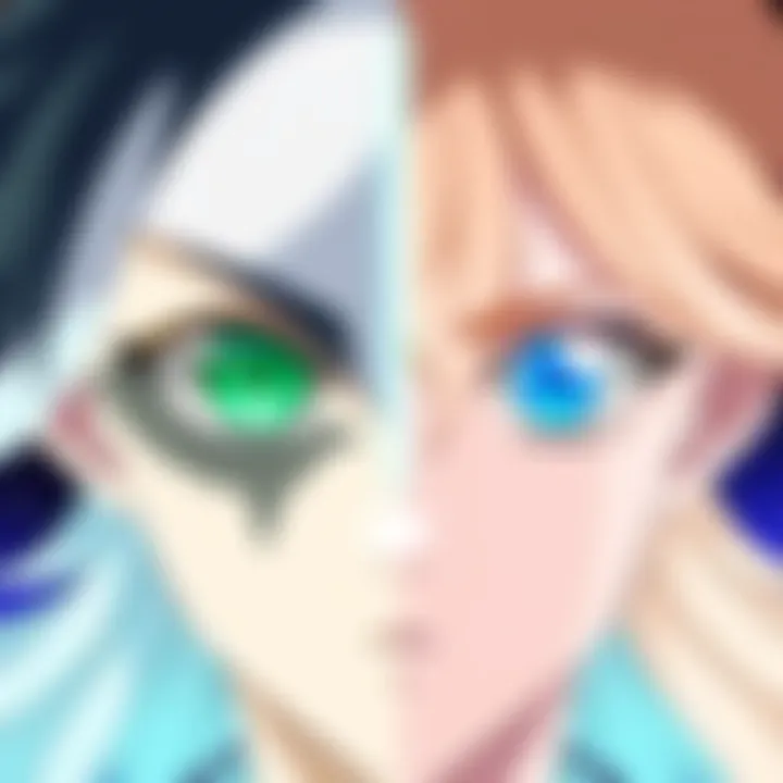 Illustration showing Haschwalth with green eyes on one side and blue eyes on the other, representing his eye color change in the anime adaptation.