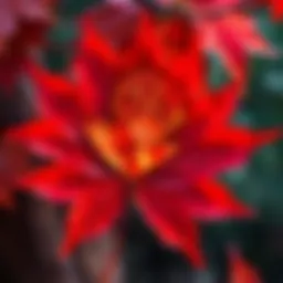 A detailed carving of Ichigo Kurosaki on a vibrant maple leaf, showcasing anime art blended with nature.