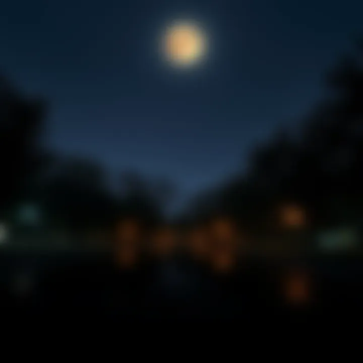 A serene night scene showing a quiet park with silhouetted trees and a glowing moon above, representing the calm and creativity of midnight.