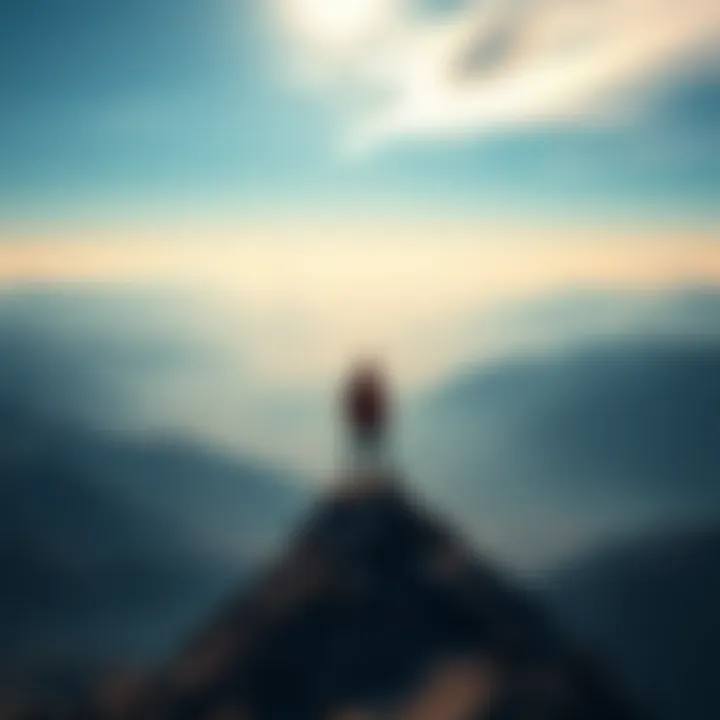 A figure on a high mountain peak gazes over a wide valley and sky, symbolizing the pursuit of ambitious goals