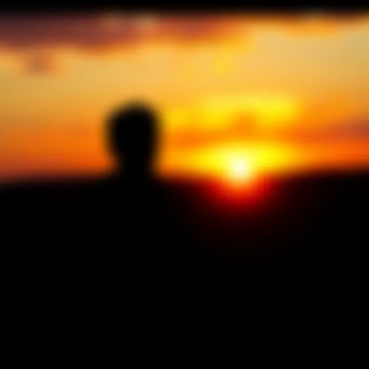 A person standing alone, gazing at a sunset, reflecting feelings of regret and longing.