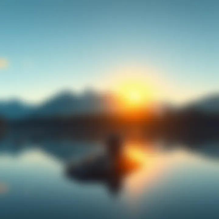 A person meditates on a rock by a calm lake, surrounded by trees and mountains, reflecting in solitude