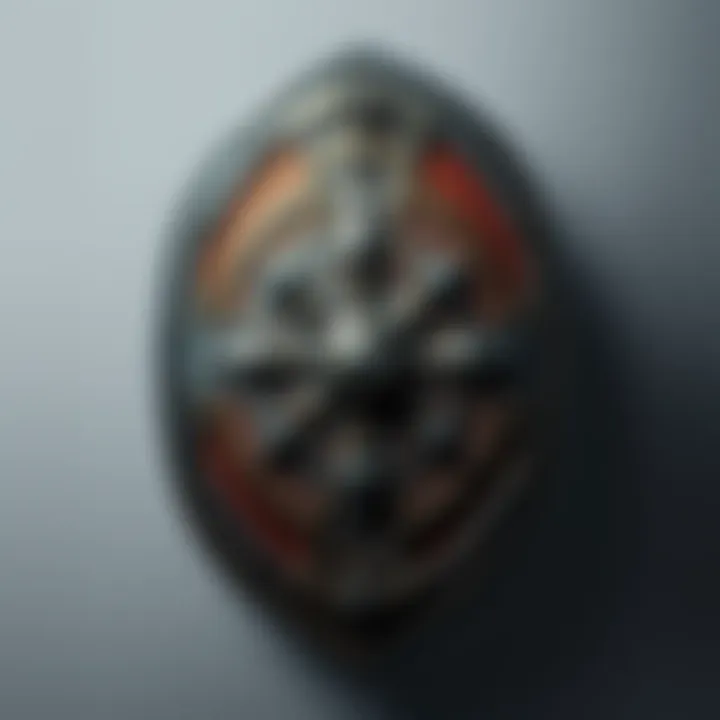 A detailed view of Pyrrah's shield, showcasing its strong design and cultural symbols, placed against a simple background.