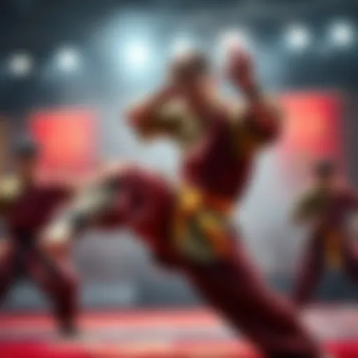 Ran showcasing his martial arts skills, confidently sparring against opponents in a competitive setting