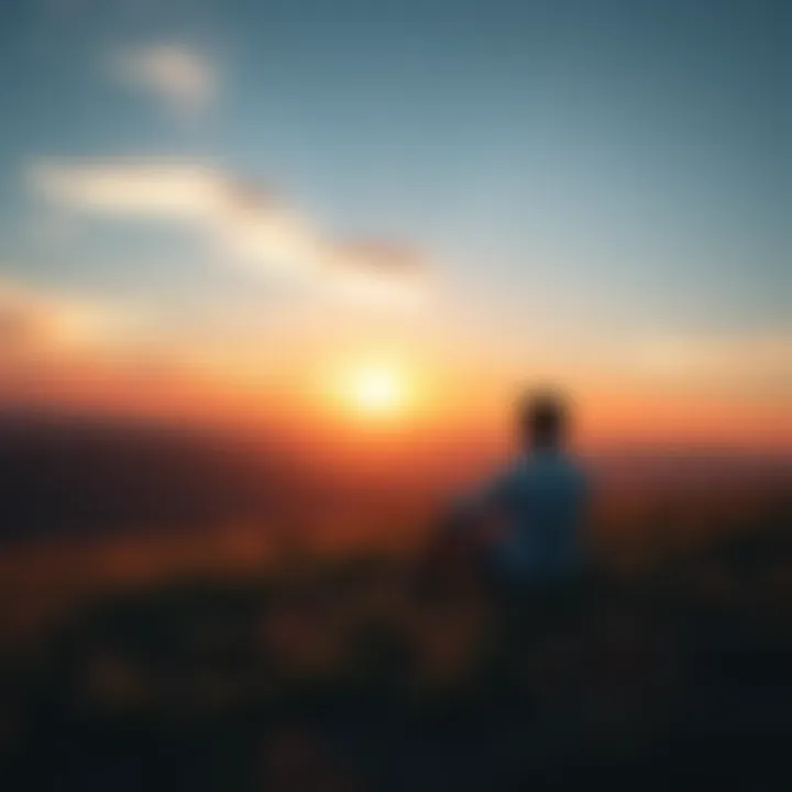 A person sitting peacefully on a grassy hill, enjoying the view of a sunset with a gentle breeze blowing.