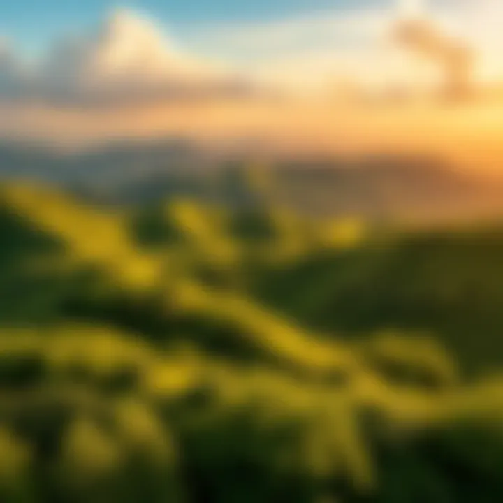 A beautiful landscape showcasing the natural beauty of Marley with hills and trees