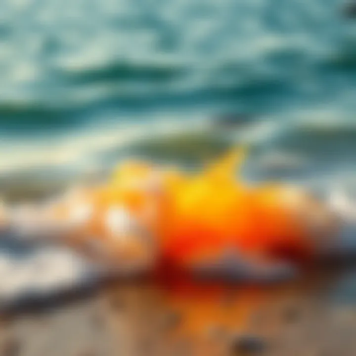 Seawater Turning to Fanta A scene showing ocean water transforming into bright orange Fanta, with waves lapping at the shore