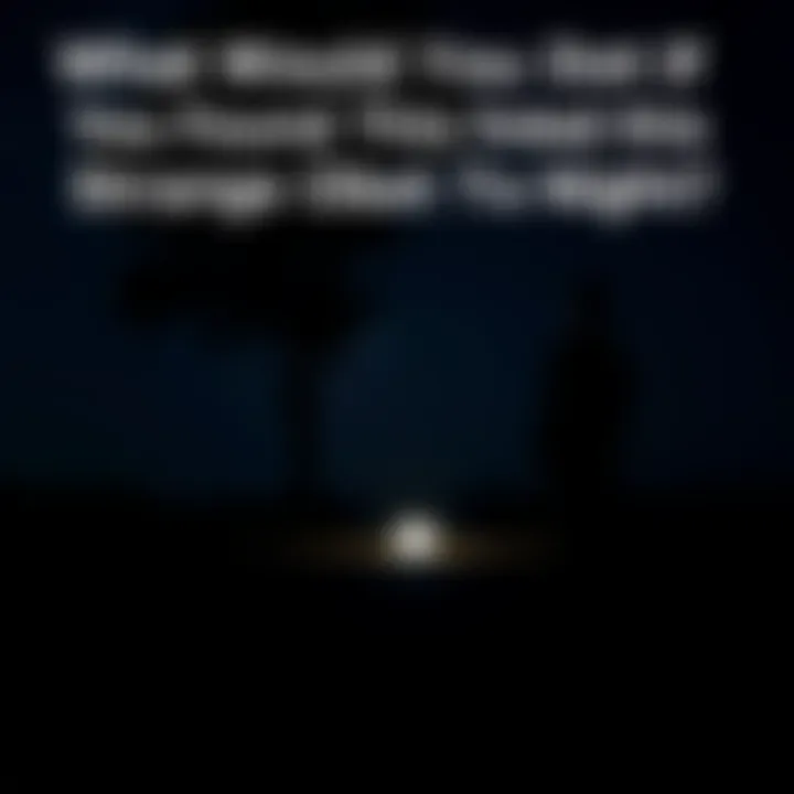 Person gazing at a strange object at night A person standing in a dark setting looking at an unusual object glowing faintly on the ground