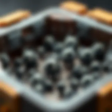 Strange Objects in Nendoroid Box A close-up of small black and white objects found in the Nendoroid Lycaon box, highlighting their unusual design.