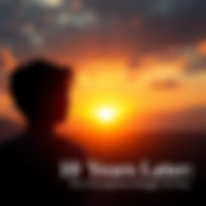 A person looking out at a sunset, symbolizing reflection and resilience after a decade of challenges.