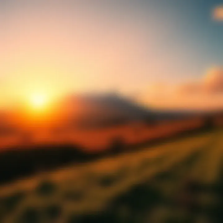 A vibrant sunrise illuminating a calm field, symbolizing the beauty of life and existence