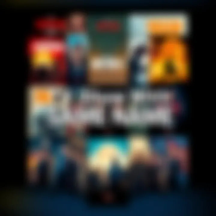 A collage of different TV show posters that share the same name but have distinct styles and themes, showcasing cultural differences.