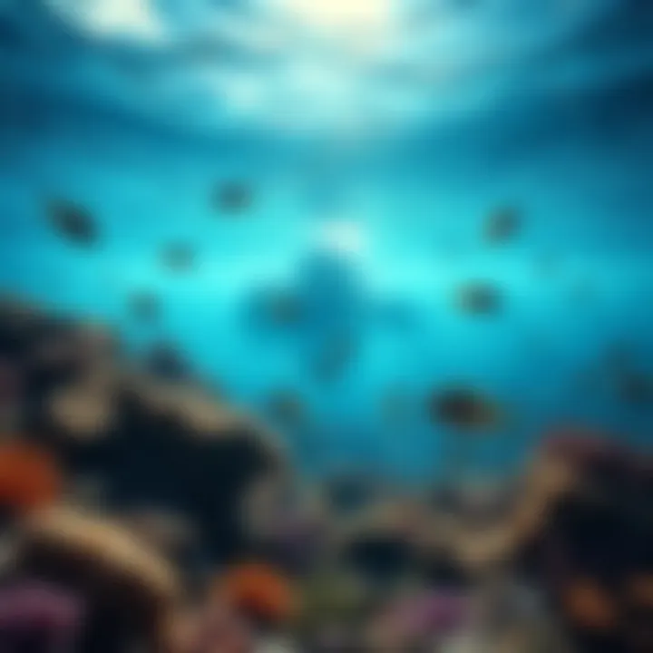 A scenic view of an underwater island with colorful coral reefs and fish swimming around, representing the idea of Laugh Tale being submerged.