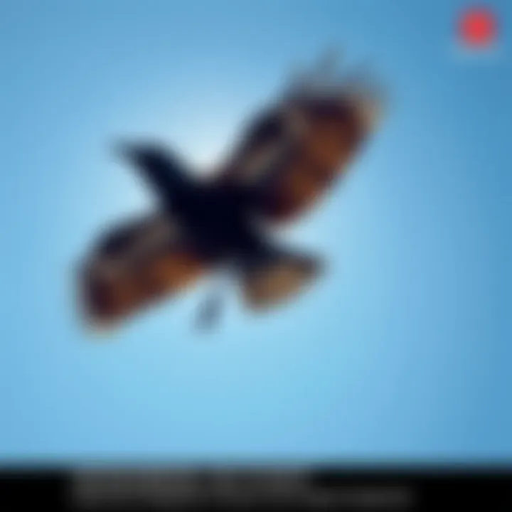 A three-legged crow symbolizing Yatagarasu soaring against a blue sky