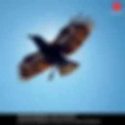 Yatagarasu in Flight A three-legged crow symbolizing Yatagarasu soaring against a blue sky